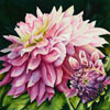 Dahlia