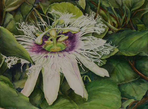 Lilikoi