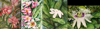 Tropical Series #1 Tropical Series #1